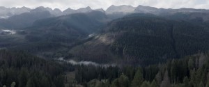 IL CODICE DEL BOSCO_STILL22