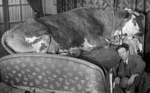 lage-dor-1930