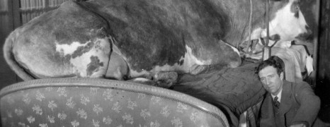 I film di Luis Buñuel