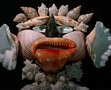 Marionette e cinema