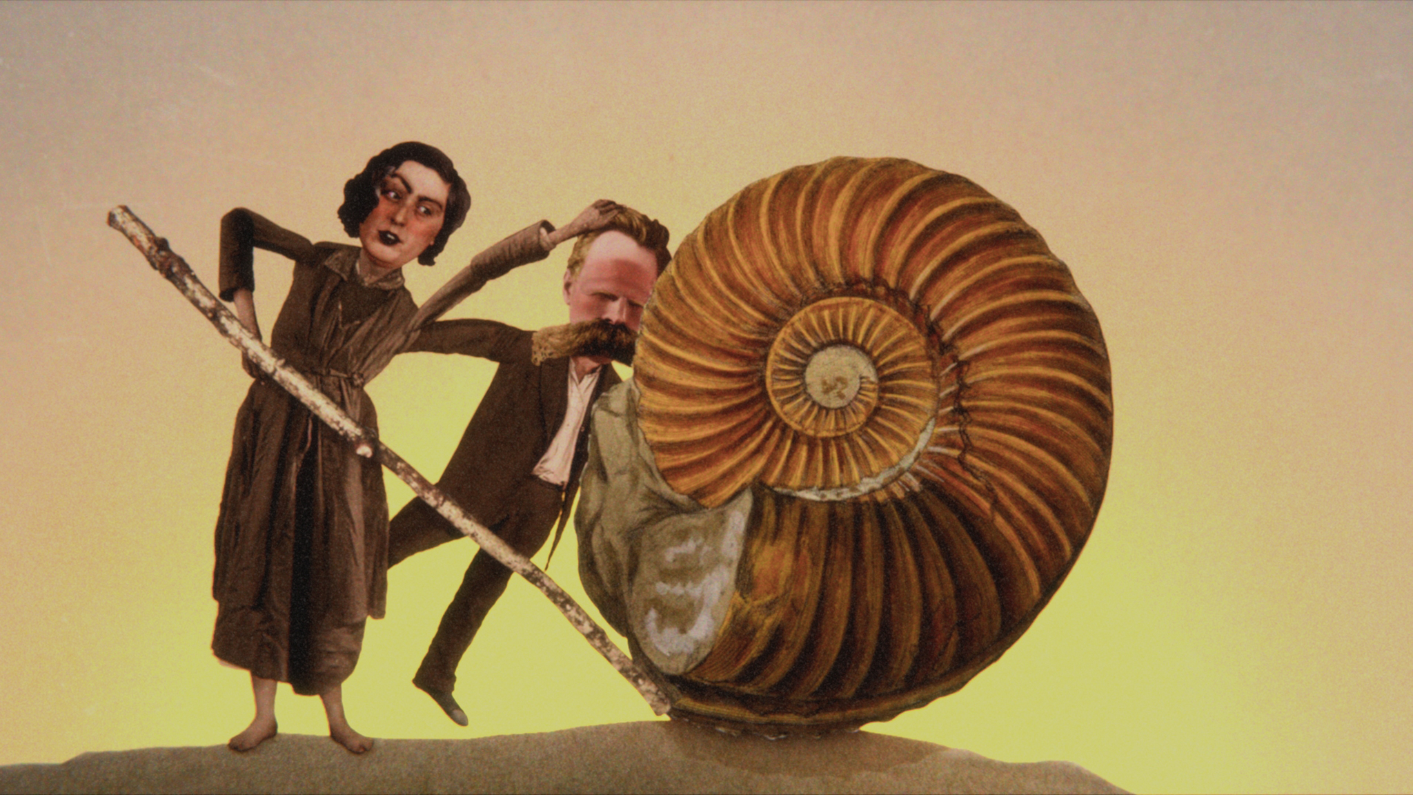 Copertina film