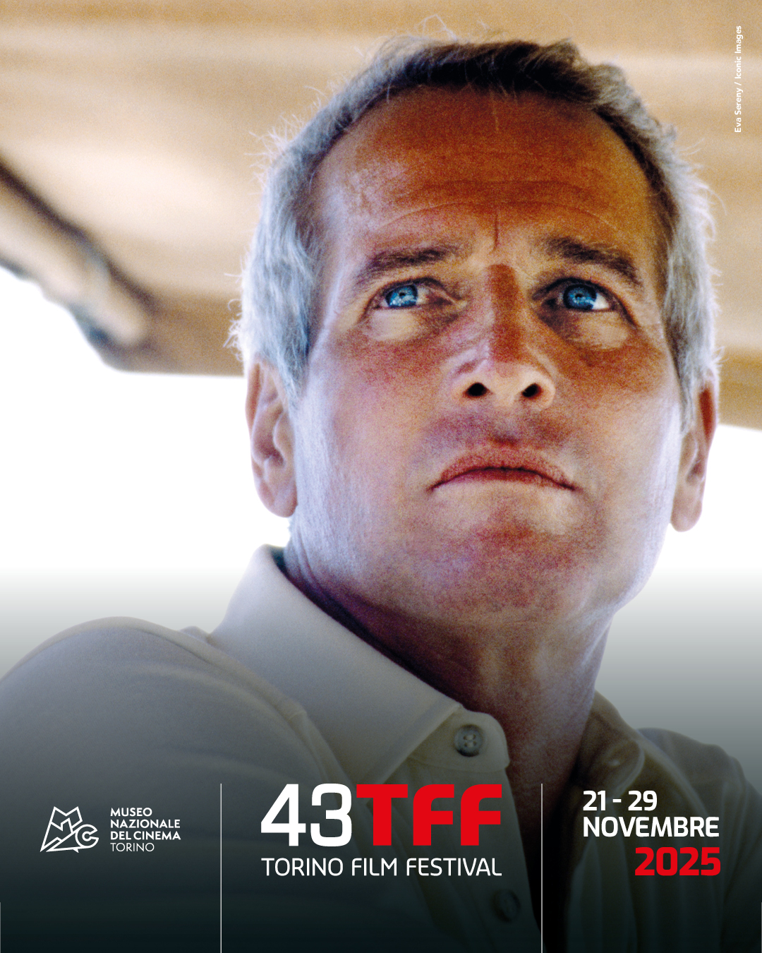 Home 34 tff 2025 digital feed insta