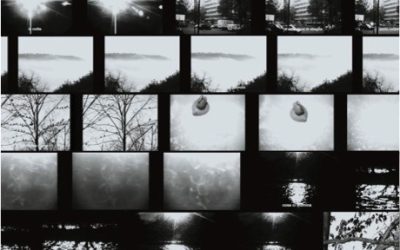 Una lunghissima ombra