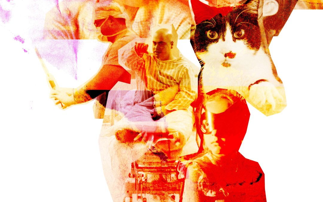 La meccanica delle cose