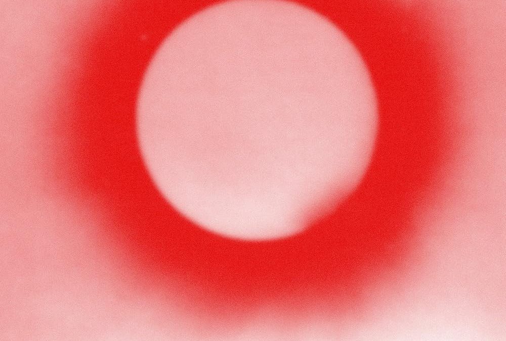 Incontro con Jacqueline Zünd