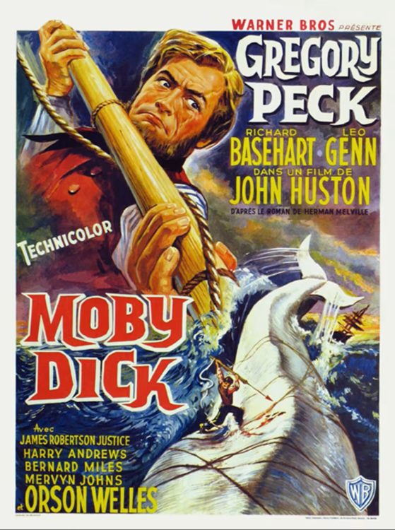 Home 31 moby dick 2 e1774879717389