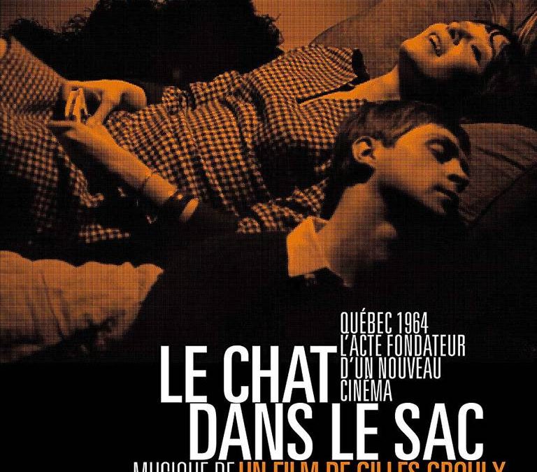 Le chat dans le sac