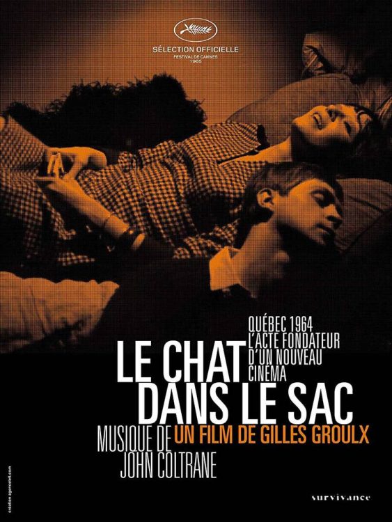 le chat dans le sac e1775040571542