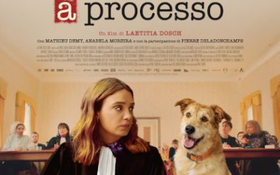 Un cane a processo VO