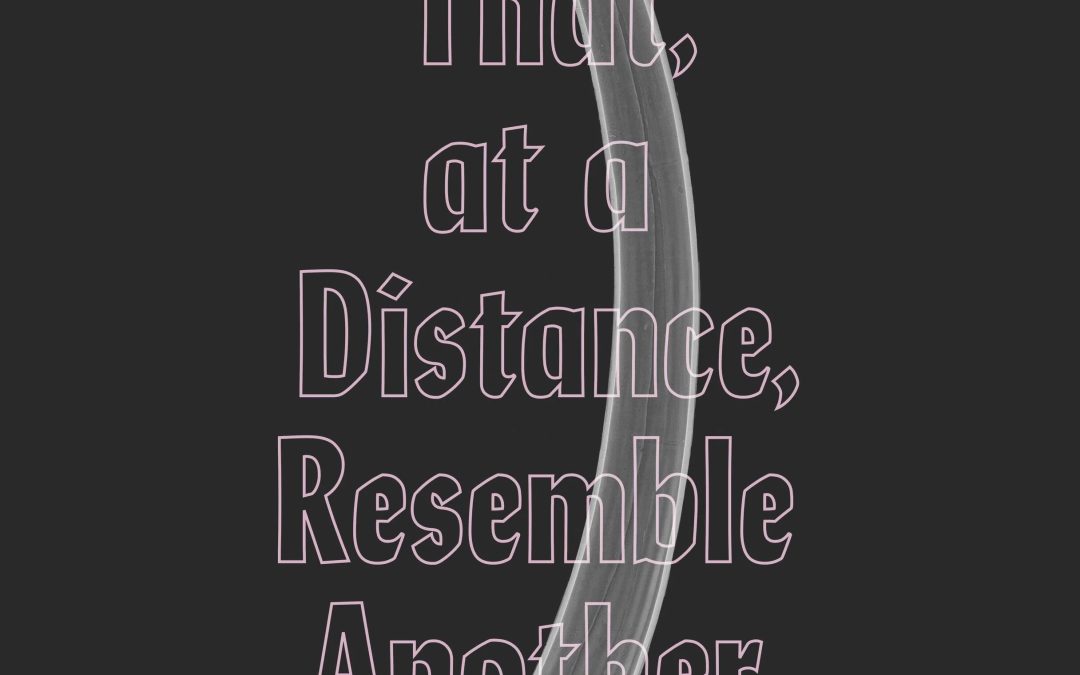 Those That, at a Distance, Resemble Another