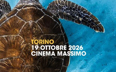 Ocean Film Festival – World Tour 2026